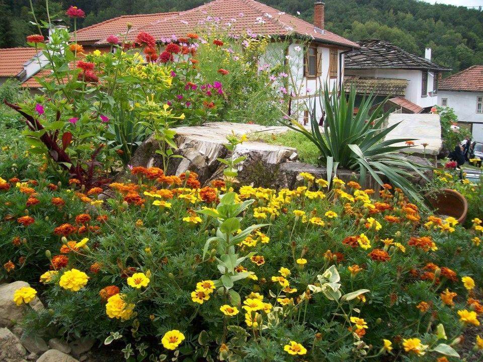 Subotkovtsi Staroto Shkolo House - Rooms For Guests מראה חיצוני תמונה